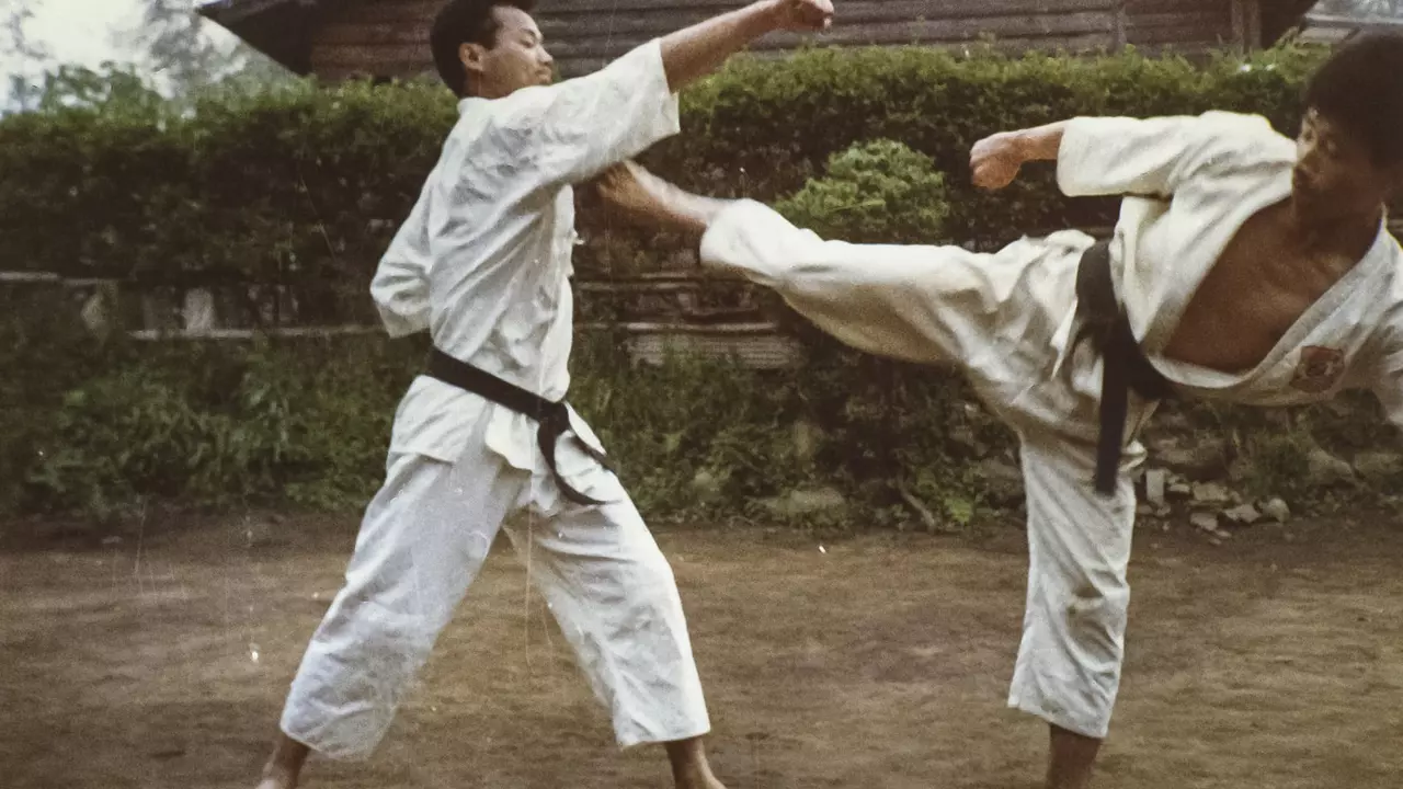 Qui gagnerait, un maître de kenjutsu ou un maître de karaté?